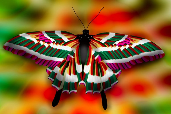 Creation of Colorful butterfly....: Step 19